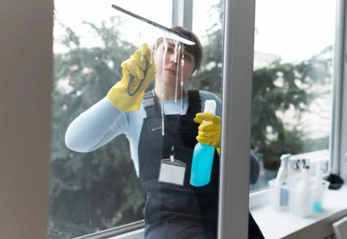 Nettoyage de vitres intérieures et extérieures à Chenereilles